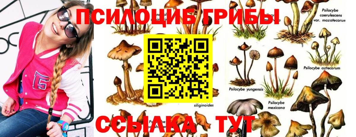 Галлюциногенные грибы прущие грибы  Вход с VPN  Малоярославец 